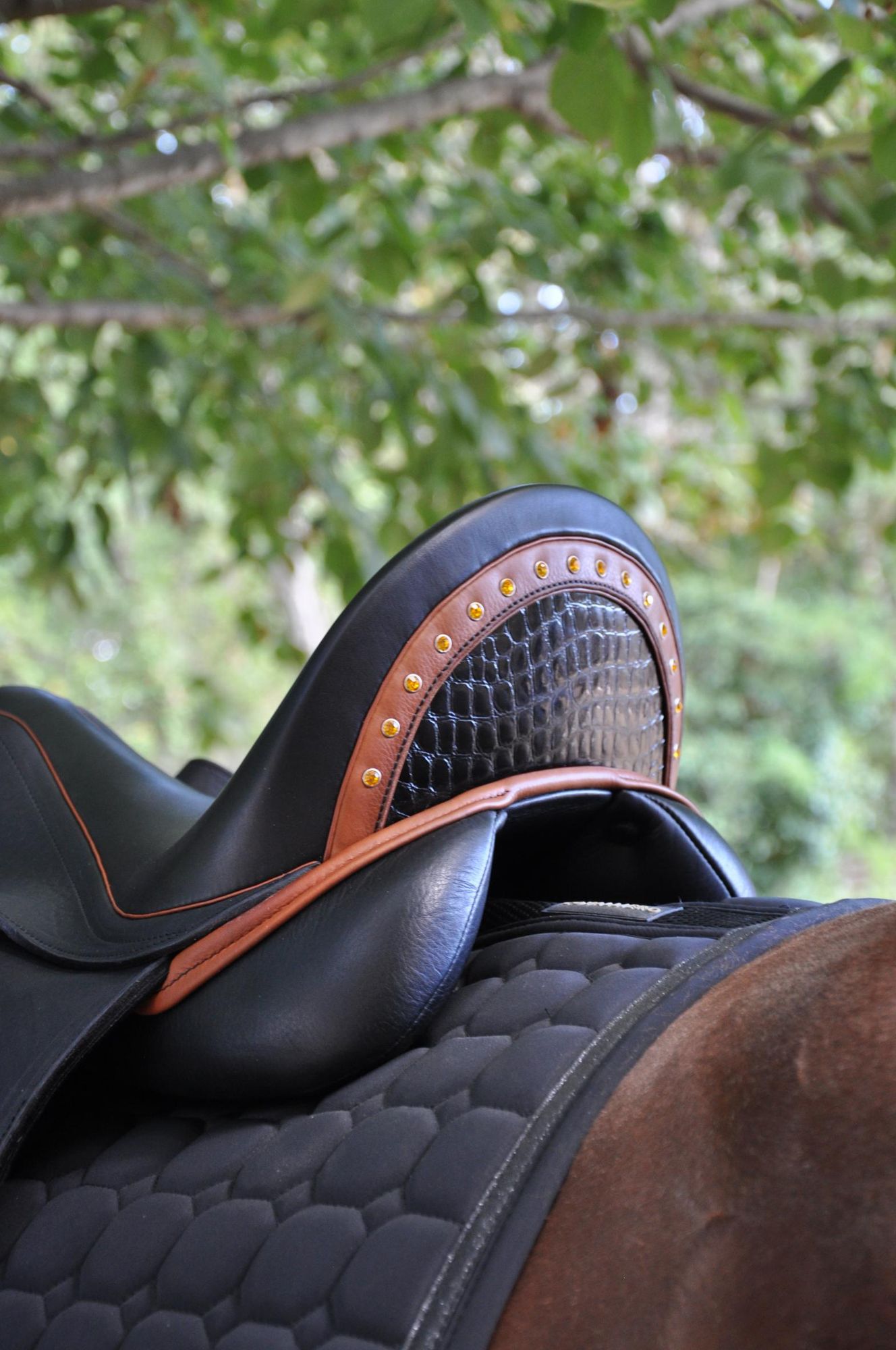 Black cantle with crocodile insert, cognac piping and crystals